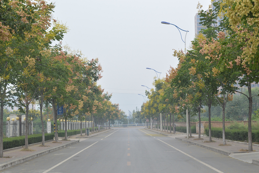 宝鸡高新六路