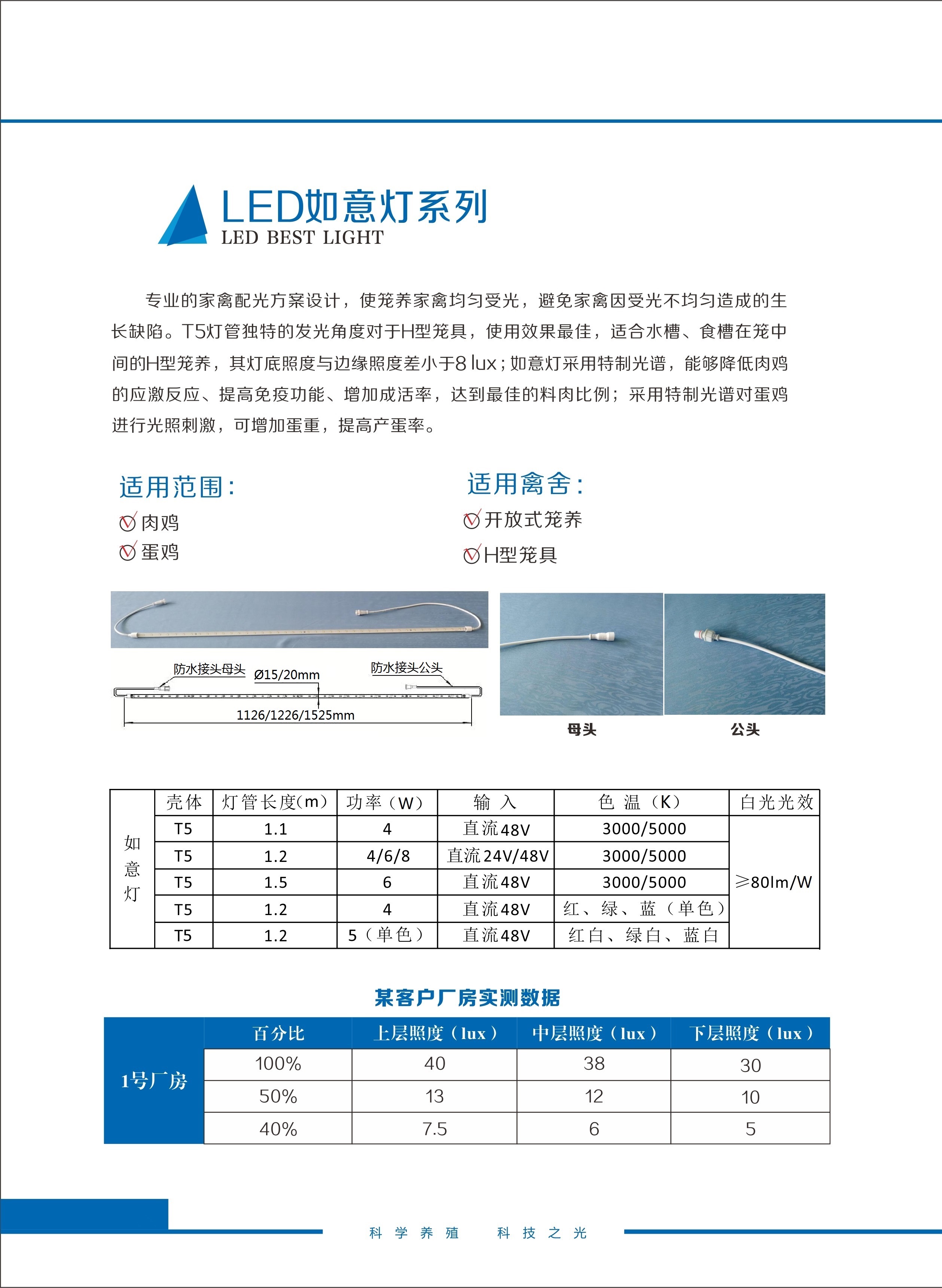 LED如意灯系列