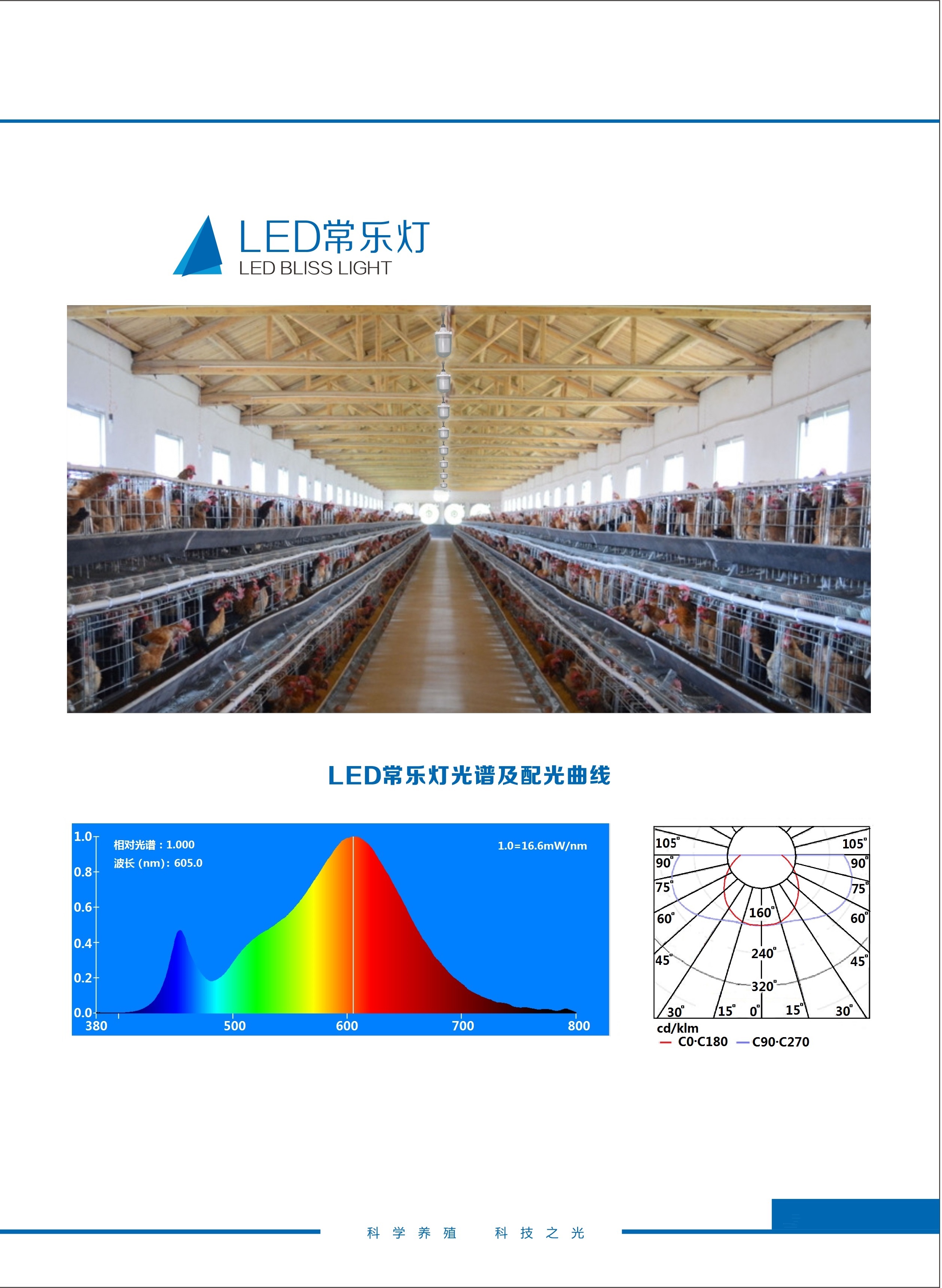 LED常乐灯