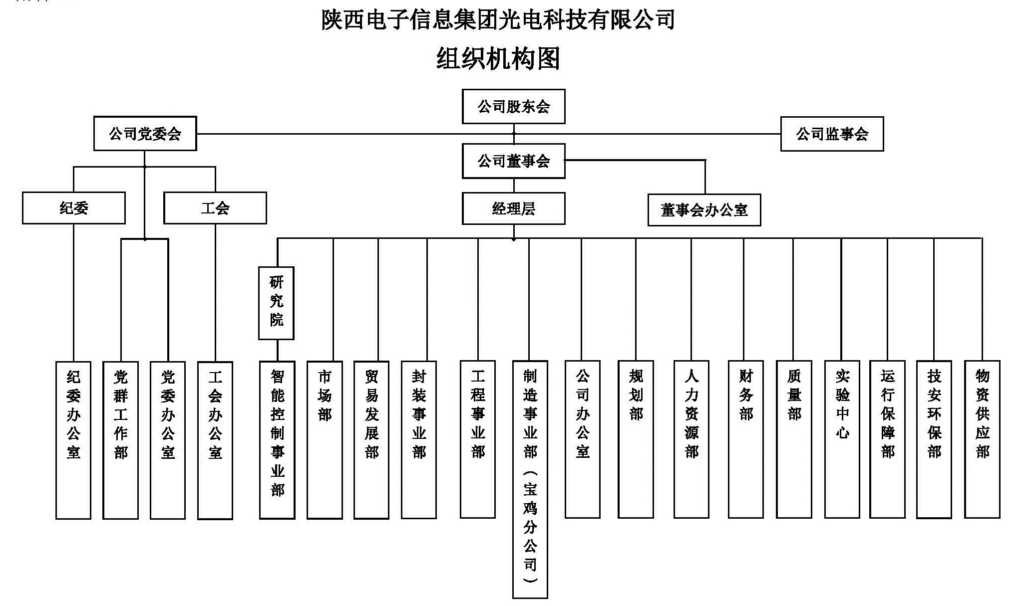 组织结构