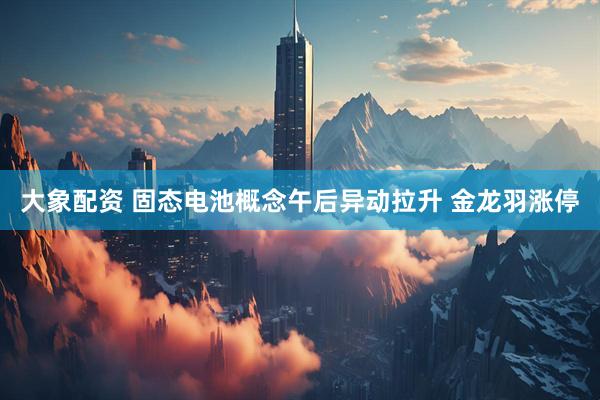 大象配资 固态电池概念午后异动拉升 金龙羽涨停