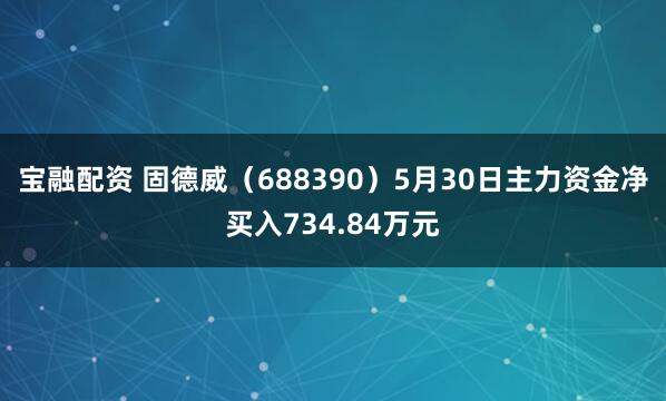 宝融配资 固德威（688390）5月30日主力资金净买入734.84万元