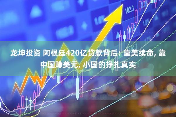 龙坤投资 阿根廷420亿贷款背后: 靠美续命, 靠中国赚美元, 小国的挣扎真实