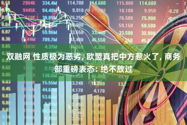 双融网 性质极为恶劣, 欧盟真把中方惹火了, 商务部重磅表态: 绝不放过