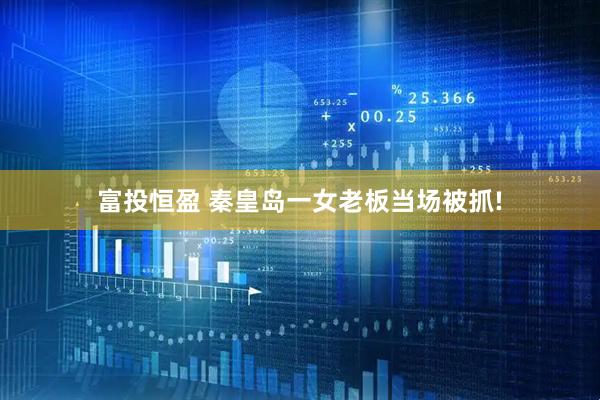 富投恒盈 秦皇岛一女老板当场被抓!