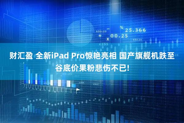 财汇盈 全新iPad Pro惊艳亮相 国产旗舰机跌至谷底价果粉悲伤不已!