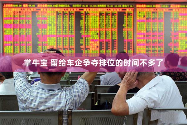 掌牛宝 留给车企争夺排位的时间不多了