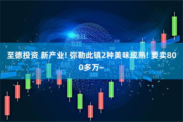 至德投资 新产业! 弥勒此镇2种美味成熟! 要卖800多万~