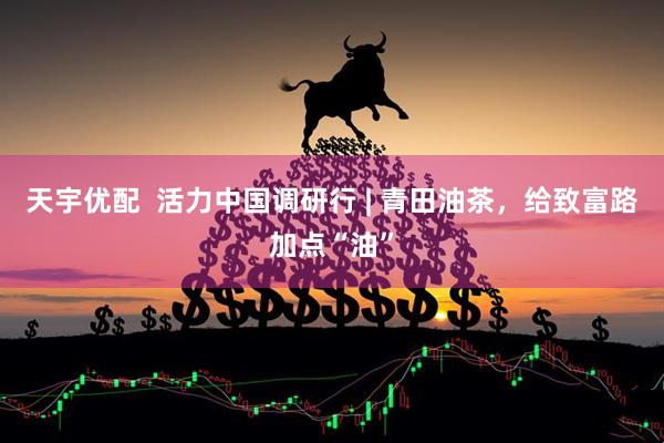 天宇优配  活力中国调研行 | 青田油茶，给致富路加点“油”