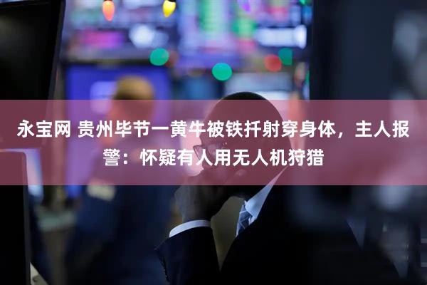 永宝网 贵州毕节一黄牛被铁扦射穿身体，主人报警：怀疑有人用无人机狩猎