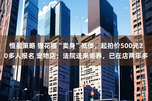 恒盈策略 狸花猫“卖身”抵债，起拍价500元20多人报名 宠物店：法院送来寄养，已在店两年多